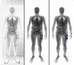 Image result for tsa scanner