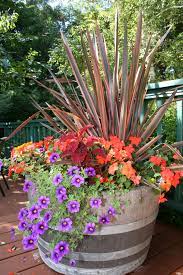 Fall Color Container Planting Idea North Coast Gardening Fall Container Gardens Container Plants Wine Barrel Planter