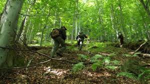 Pădurarii Vor Fi Dotaţi Cu Armament De Serviciu Presedintele A Promulgat Legea Care Modifică Statutul Personalului Silvic