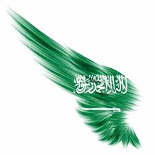 Saudiarabia Saudi Arabia Painting In 2020 National Day Saudi Independence Day Photos Saudi Flag