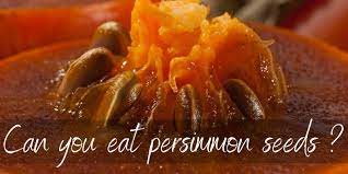 To grow persimmons from seed choose a fully ripe, unblemished persimmon. Are Persimmon Seeds Really Edible Find Out Here Foodiosity