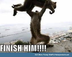 Image result for Animal Meme