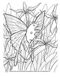 So here are the ten best fairy coloring pictures that your little one would love coloring. 10 Pics Of Fire Fairy Coloring Pages Fire Fairies Coloring Pages Coloring Home