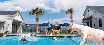 Pet Paradise Ballantyne - Services Facebook