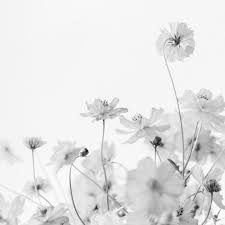 Black And White Objects Merriam Webster Defines Art As The Conscious Use Of Skill And Creative Imagination Especially In The Production Of Aesth Define Art Aesthetic Objects Fine Art