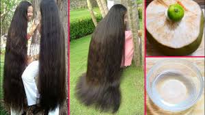 Nonetheless, here are some of the benefits of coconut oil for hair growth. Apply Coconut Water On Your Hair Then See The Magic Double Hair Growth Youtube
