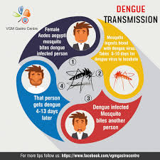 Pin On Vgm Gastro Centre