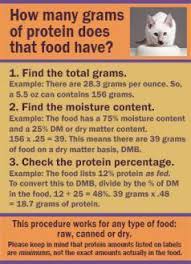 What can i feed my cat to fatten her up? Five Ways To Fatten Up Your Cat How To Fatten Up A Cat Paperblog
