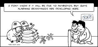 Resistência aos antibióticos - Humor - pig333 ...
