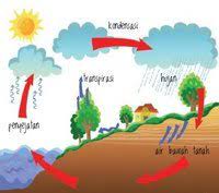 Kitaran air semula jadi sekian , tamat,terima kasih. Kitar Air Semulajadi Tahun 5 Science Quizizz