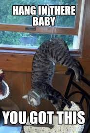 Meme Creator Funny Hang In There Baby You Got This Meme Generator At Memecreator Org