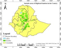 Image result for Oldeania alpina