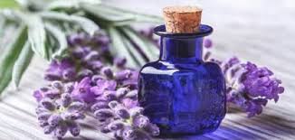 في مقالات أخرى من naturevia لقد أبلغنا عن الفوائد والممتلكات التي عسل إنه يساهم في كائننا ، ذلك المنتج الممتاز الذي يصنعه النحل. Ù…Ø­ÙˆØ±ÙŠ Ø§Ø³ØªÙ‡Ù„Ø§Ùƒ Ø¨Ø±ÙŠÙ‚ ØªÙ†Ø¸ÙŠÙ Ø§Ù„Ø±Ø­Ù… Ø¨Ø¹Ø¯ Ø§Ù„Ø¯ÙˆØ±Ø© Ø¨Ø§Ù„Ø®Ø²Ø§Ù…Ù‰ Comertinsaat Com