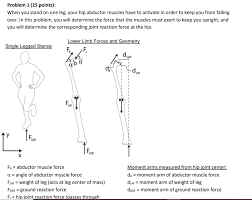 The muscles of the hip can be divided into three different. Problem 1 25 Points When You Stand On One Leg Chegg Com