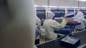 Hal yang harus dimiliki seorang pengusaha agar produksi yang dihasilkan disukai masyarakat adalah mampu berinovasi dalam mengembangkan produknya, dengan mengikuti perkembangan pasar yang sedang berjalan. Pt Youngjin Indonesia 2k19 Youtube
