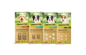 Drontal For Dogs And Puppies Fast Effective Treatment