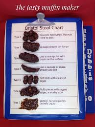 bristol stool chart cake by andrea cakesdecor