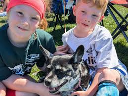 Fundraiser by Emily Baxley : Help Chloe Get Tested for Cushing's Disease