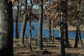 This activity or structure is ada accessible. Picnic Area Picture Of Purtis Creek State Park Eustace Tripadvisor