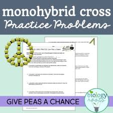 Monohybrid crosses practice worksheet answer key. Freebie Monohybrid Cross Practice Problems Supports Distance Learning