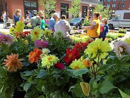 We exclusively deliver to all st. Cut Flowers Could Be Latest Minnesota Farm To Table Movement Twin Cities