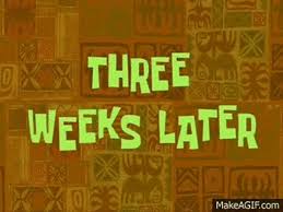 Watch the full video | create gif from this video. Spongebob Narrator Gifs Tenor