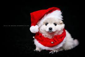 Photo by: Eye of the Beholder Photography by Alex ♥ Meet the Surkans :)