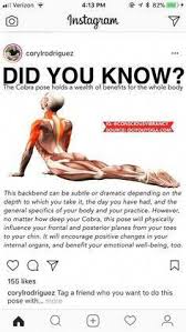 Commit To Be Fit Yoga Pose Tips Yoga Poses Yoga Postures Health