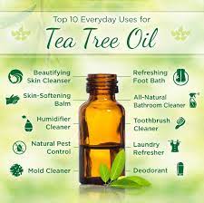 How To Use Tea Tree Oil Top 10 Everyday Uses Tea Tree Oil Benefits Tea Tree Oil Uses Essential Oil Recipes