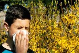 8 Foods That Reduce Mucus Phlegm And Snot Why Am I Unhealthy Mucus Seasonal Allergies Allergies