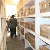 Imagen de la noticia para "archivos" de El Sol de Tlaxcala (Comunicado de prensa)