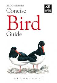 Concise Garden Wildlife Guide The Wildlife Trusts Free