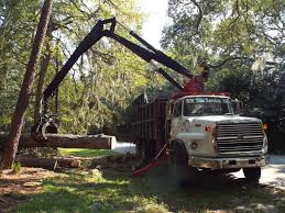 Removal in savannah ga can do away with diseased and old trees that have definitely seen better days. Wm Tree Service Savannah Ga