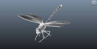 Dragonfly Model 3d 3d Model 3d Model Model Dragonfly