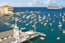 The 4,000 cruise passengers were assembled for roll call to identify the man who fell and a 'safety zone' was established around the ship. Tour The West Coast On A California Coastal Princess Cruises