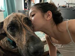 Best Birthday ever for my boy! Gabriel turns 2 today💙