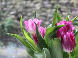 Hours may change under current circumstances Czup Funeral Home Ashtabula Oh Funeral Home And Cremation