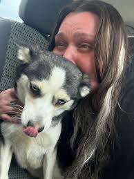 Community helps find lost dog in Millcreek, PA