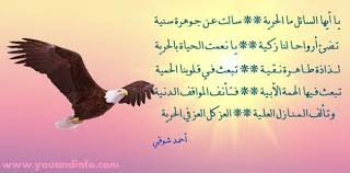 أبيات شعر عن الأحرار والحرية