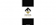 Software Developer