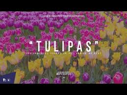 Instrumental maker for any song. Afrobeat Instrumental Tulipas Burna Boy X Wizkid Type Beat Dancehall Instrumental Type Beat 2020 Youtube