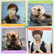 Ss501 Forever Coincidencias Verdosas Facebook