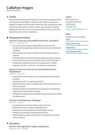 Online edition assessment, and greater consistency of care when a nursing care plans, model is used. Veterinarian Resume Examples Writing Tips 2021 Free Guide