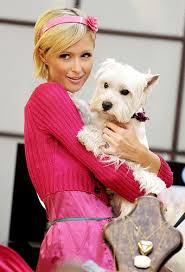 Stars who have posed nude. Paris Hilton With Another Dog Paris Hilton Paris And Nicole Celebs