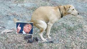 Someone's putting photos of Donald Trump in dog poop - Riot Fest