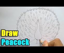 Udemy.com has been visited by 100k+ users in the past month How To Draw A Peacock Instructables
