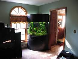 30 Gallon Bow Front Aquarium Dimensions Bow Front Aquarium Aquarium Design Aquarium