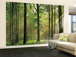 Mural wallpaper is the ideal solution if you want to update your home decor but don't at i want wallpaper, we have a wide collection of wall murals to suit all rooms and individual styles. Autumn Forest Wall Mural Wallpaper Mural Allposters Com