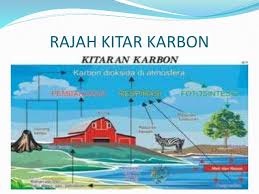 Tahap penguasaan standard prestasi 1 kaedah saintifik 2 3 tafsiran 4 mengingat kembali definisi sains/ makmal sains apabila terdapat gangguan pada kitar oksigen atau kitar peratus gas dalam atmosfera. Sistem Ekologi