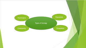 List Of Different Types Of Ecosystem With Example